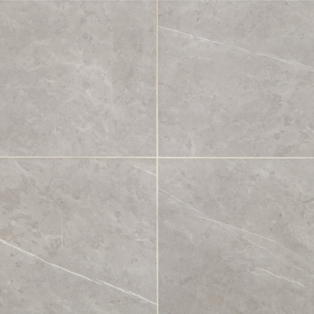 Daltile Prime Stamina Grey Square 12x12 Matte Floor Tile