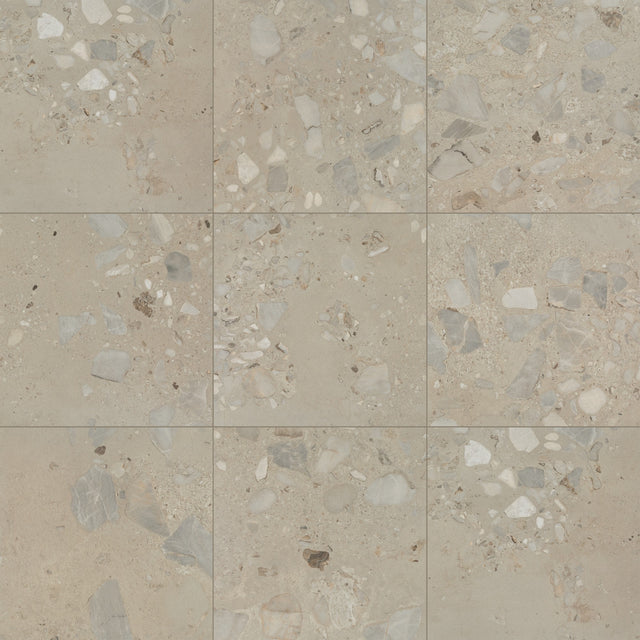 Daltile Sand and Stone Tundra Square 24x24 Stone Matte Floor Tile