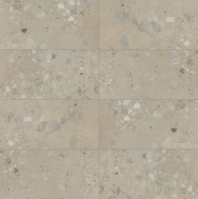 Daltile Sand and Stone Tundra Rectangle 24x48 Stone Matte Floor Tile