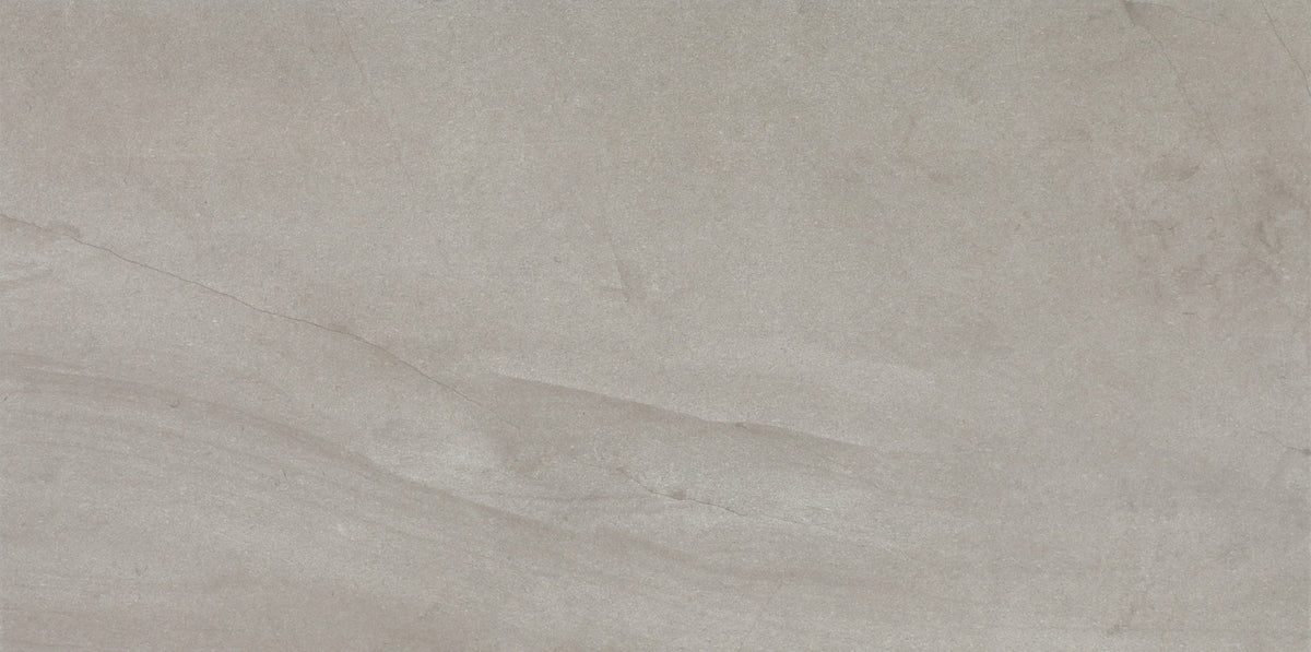 Daltile Wanderwise Roam Rectangle 12x24 Matte Floor Tile