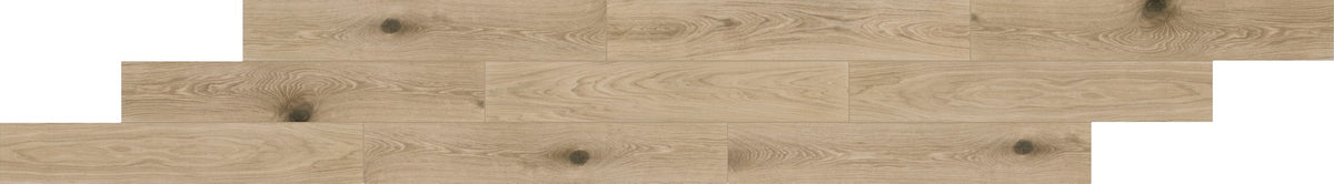 Daltile Ashford Grove Golden Beech Rectangle 8x48 Matte Floor Tile AG21RCT848MT