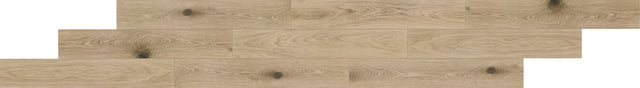Daltile Ashford Grove Golden Beech Rectangle 8x48 Matte Floor Tile AG21RCT848MT
