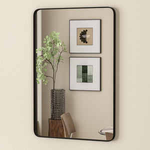 Eviva Harmony 20" x 30" Rectangular Black Metal Framed Mirror