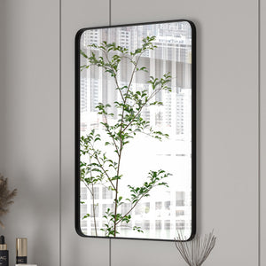 Eviva Harmony 20" x 30" Rectangular Black Metal Framed Mirror
