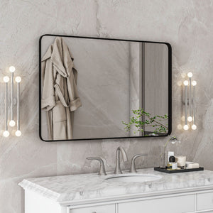 Eviva Harmony 24" x 36" Rectangular Black Metal Framed Mirror