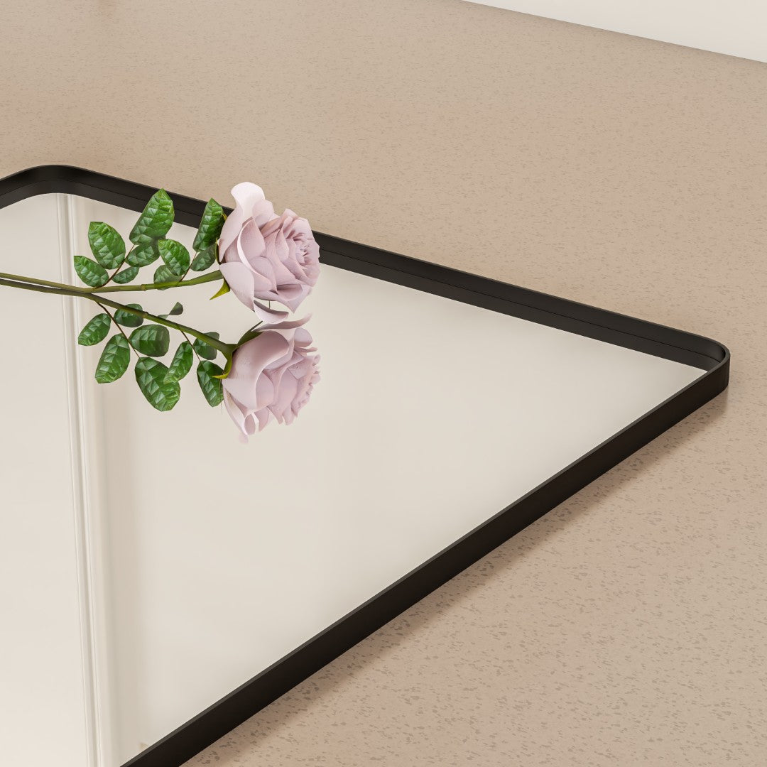 Eviva Harmony 30" x 40" Rectangular Black Metal Framed Mirror