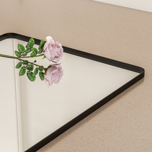 Eviva Harmony 30" x 40" Rectangular Black Metal Framed Mirror