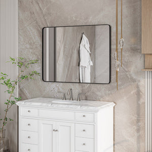 Eviva Harmony 30" x 40" Rectangular Black Metal Framed Mirror