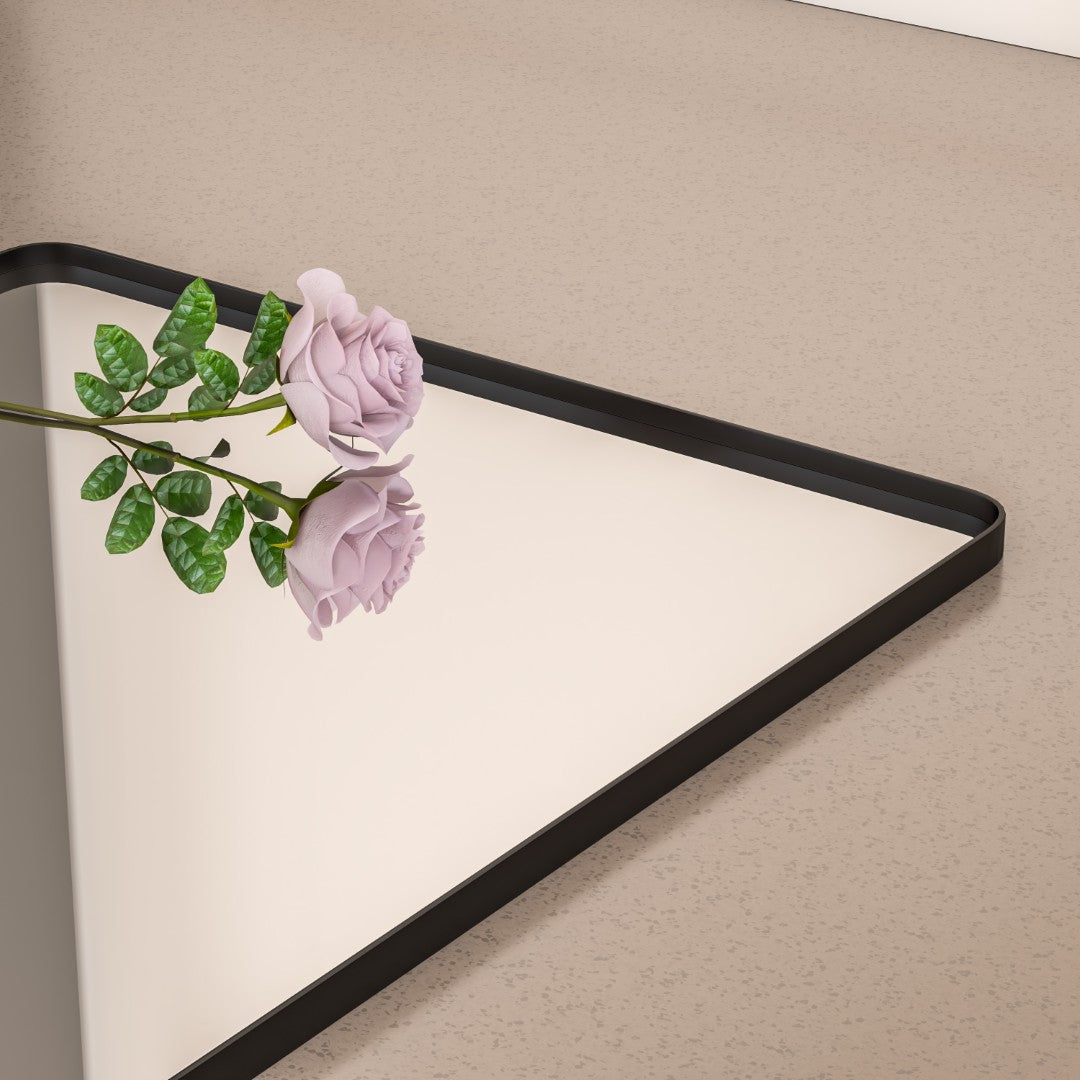 Eviva Harmony 36" x 30" Rectangular Black Metal Framed Mirror