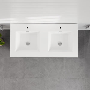 Lugano 48 in. Gray Double Sink  Bath Vanity with Acrylic Top and Integrated Sinks