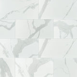Eden statuary 12x24 matte porcelain floor and wall tile NEDESTA1224 product shot wall view 9 #Surface Finish_Matte