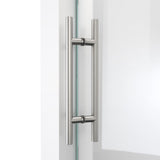 DreamLine Enigma-X 55-59 in. W x 62 in. H Clear Sliding Tub Door in Brushed Stainless Steel