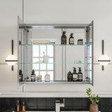 Eviva Lazy 30 inch Mirror Medicine Cabinet with No Light