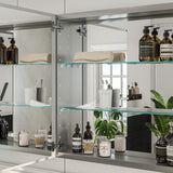Eviva Lazy 30 inch Mirror Medicine Cabinet with No Light