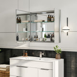 Eviva Lazy 30 inch Mirror Medicine Cabinet with No Light