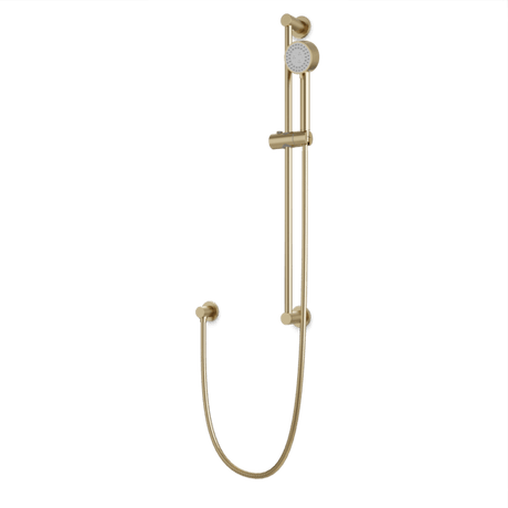 Artos Round Multifunction Flexible Hose Slidebar Kit with Separate Water Outlet in Satin Brass – F907-83SB