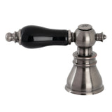 FSCH1974AKLH Hot Porcelain Lever Handle, Black Stainless
