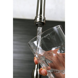 GARPA10 1.0 GPM Aerator Insert, Raw