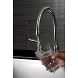 GARPA10 1.0 GPM Aerator Insert, Raw