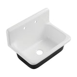 Petra Galley GCKWS302010 30-Inch x 20-Inch Cast Iron Wall Mount Kitchen Sink, White