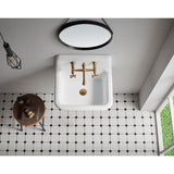 Petra Galley GCLWS22187 22-Inch x 18-Inch Cast Iron Wall Mount Utility Sink, White