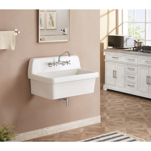 Doriteal GPKWS301918 30-Inch Ceramic Wall Mount Utility Sink, Glossy White