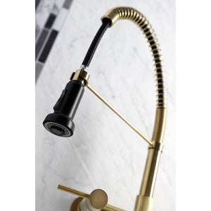 Concord GS8187DL Two-Handle 2-Hole Wall Mount Pull-Down Sprayer Kitchen Faucet, Brushed Brass