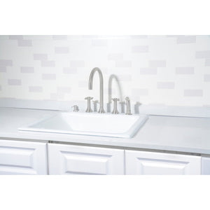 Towne GT252295 25-Inch Cast Iron Self-Rimming 5-Hole Single Bowl Drop-In Kitchen Sink, White