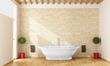 Hydro Systems GEO7035HTO-BIS GEORGETOWN 7035 METRO TUB ONLY-BISCUIT