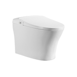 ICERA iWash CS-18 Integrated Bidet Toilet (includes seat, bowl and remote) White CS-18.01