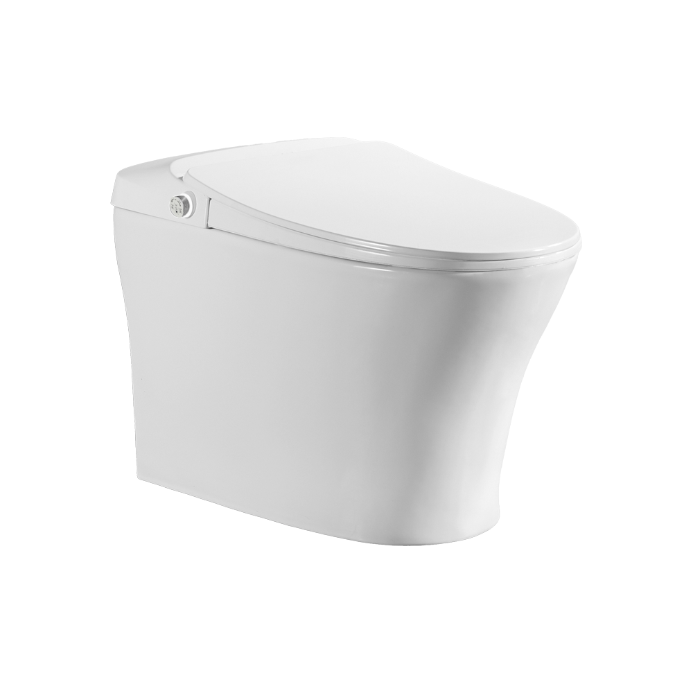 ICERA SMART CS-17 Tankless Toilet (includes seat and bowl) White CS-17.01