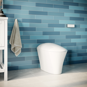 ICERA iWash CS-22 Integrated Bidet Toilet (includes seat, bowl and remote) White CS-22.01