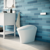 ICERA iWash CS-22 Integrated Bidet Toilet (includes seat, bowl and remote) White CS-22.01