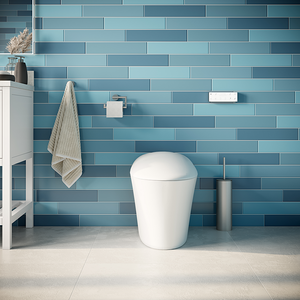 ICERA iWash CS-22 Integrated Bidet Toilet (includes seat, bowl and remote) White CS-22.01