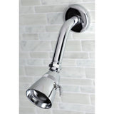 Shower Scape K150A1 5-3/8 Inch Shower Arm, Polished Chrome