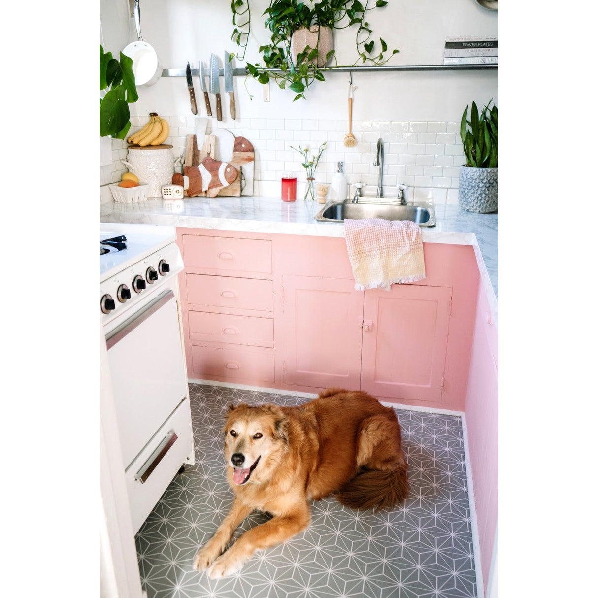 Restoration KB3748PX Two-Handle 3-Hole Deck Mount 8" Centerset Kitchen Faucet, Brushed Nickel