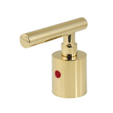 Manhattan KBH8962CMLH Hot Metal Lever Handle, D Type, Polished Brass