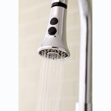 Made To Match KDH8721 2-Function Pull-Down Kitchen Faucet Sprayer, Polished Chrome