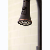Made To Match KDH8726 2-Function Pull-Down Kitchen Faucet Sprayer, Naples Bronze