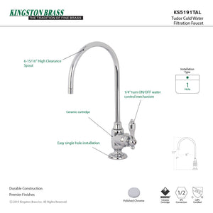 Tudor KS5191TAL Single-Handle 1-Hole Deck Mount Water Filtration Faucet, Polished Chrome