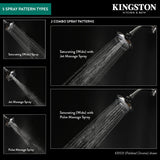 Vilbosch KX1551 5-Function 5-Inch Plastic Shower Head, Polished Chrome