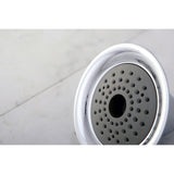 Shower Scape KX361 6-Inch Plastic Adjustable Shower Head, Polished Chrome