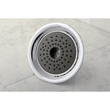 Shower Scape KX361 6-Inch Plastic Adjustable Shower Head, Polished Chrome