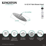 Shower Scape KX671 7-Inch Plastic Shower Head, Polished Chrome