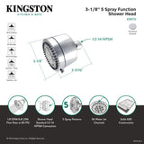 Vilbosch KX8751 5-Function 3-1/8 Inch Plastic Shower Head, Polished Chrome