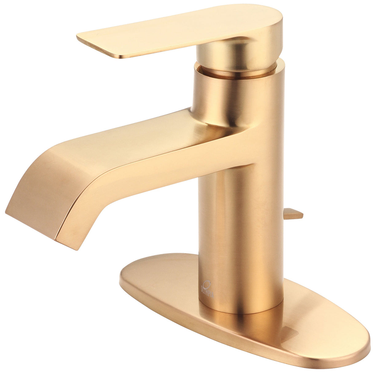 Olympia L-6092-WD-BG