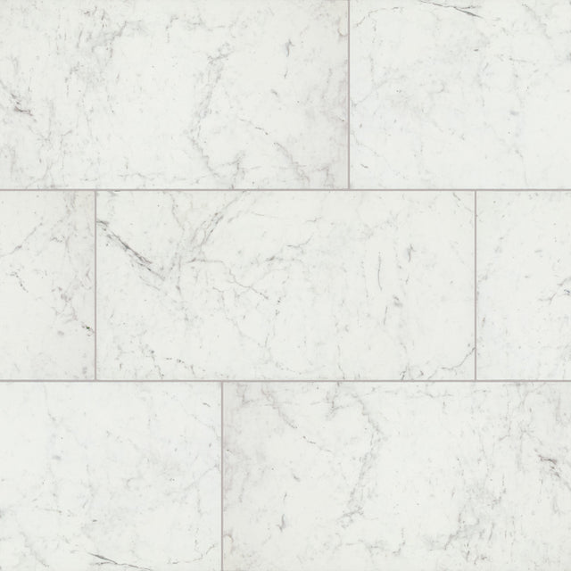 Daltile Core Classic Carrara Marble Rectangle 12x24 Matte Floor Tile