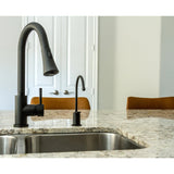 Concord LS8720DL Single-Handle 1-Hole Deck Mount Pull-Down Sprayer Kitchen Faucet, Matte Black