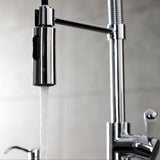 Paris LS8771DPL Single-Handle 1-Hole Deck Mount Pre-Rinse Kitchen Faucet, Polished Chrome