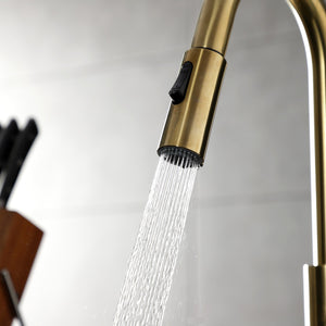 Continental LS8783CTL Single-Handle 1-Hole Deck Mount Pull-Down Sprayer Kitchen Faucet, Brushed Brass